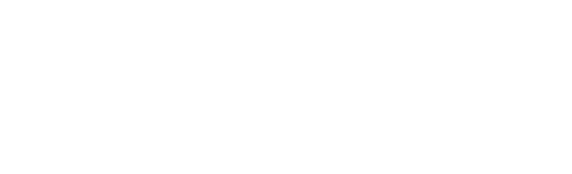 NS24_Partner-Lockups_Solution-Provider_White